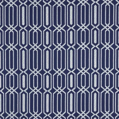 FIESTA BLUEBERRY thumbnail 3