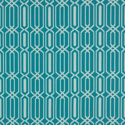 FIESTA BUBBLEGUM thumbnail 3