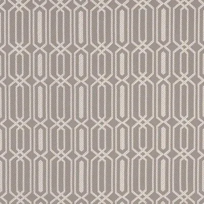 FIESTA GLACE thumbnail 3