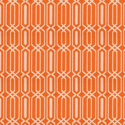 FIESTA POPSICLE thumbnail 3