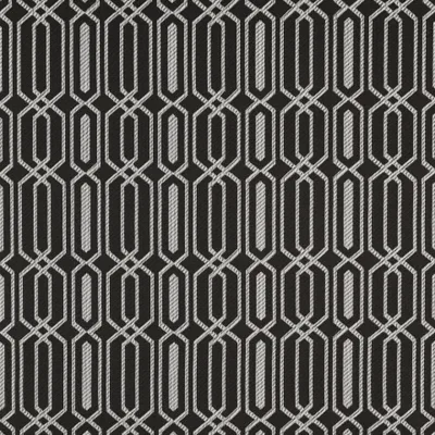 FIESTA YINGYANG thumbnail 3