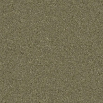 Tweed Gorse thumbnail 3