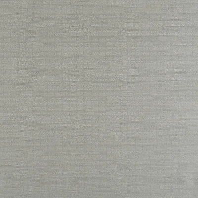 CHRYSLER SILVER — URBAN SELECTION swatch, view 1