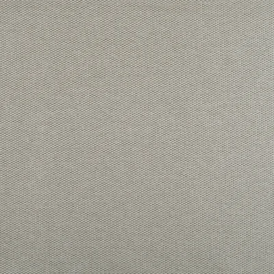 HAGIA PLATINUM — URBAN SELECTION swatch, view 1