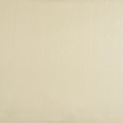 POTALA SANDSTONE — URBAN SELECTION swatch, view 1