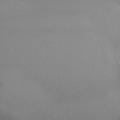 POTALA SILVER thumbnail 2