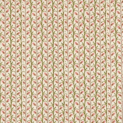 WILDWOOD ROSEHIP thumbnail 3