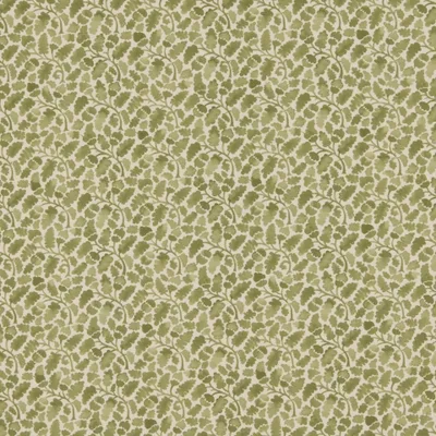 WOODCLIFF KELP thumbnail 3