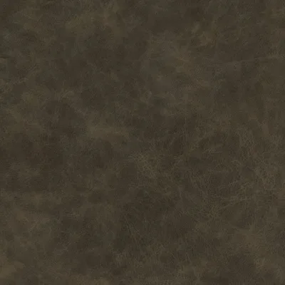 YELLOWSTONE KHAKI thumbnail 3