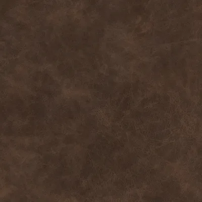 YELLOWSTONE MOCHA thumbnail 3