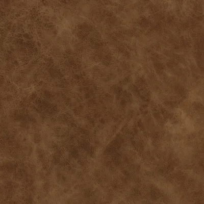 YELLOWSTONE TAN thumbnail 3