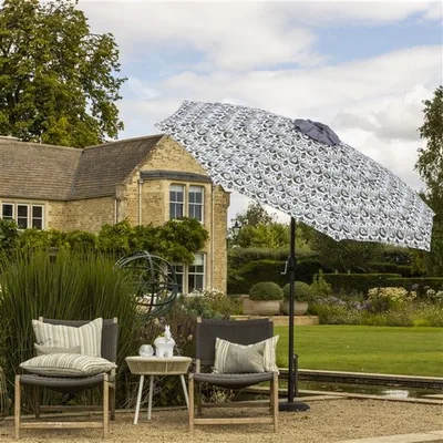 CUZCITA SAGE thumbnail 3