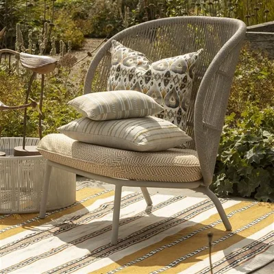 CUZCITA SPICE thumbnail 3