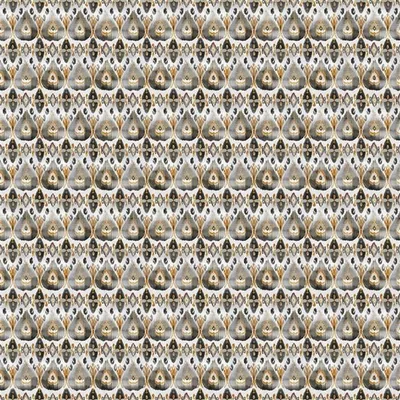 ZADORRA SPICE thumbnail 6