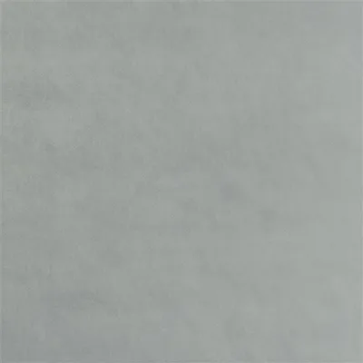 DENNISE SILVERBIRCH swatch