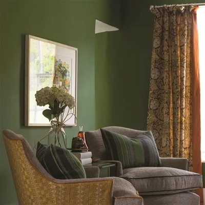 KALAMOS GRASS thumbnail 6