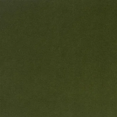 YVETTE - FOREST swatch