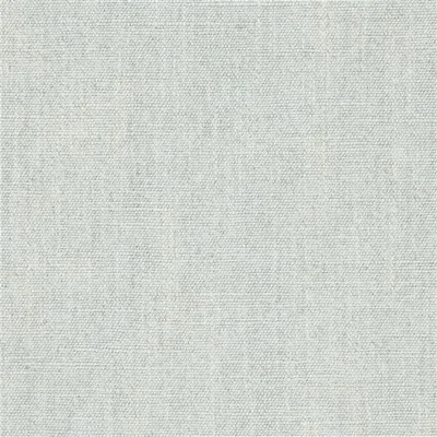 ANAFI - PLATINUM swatch