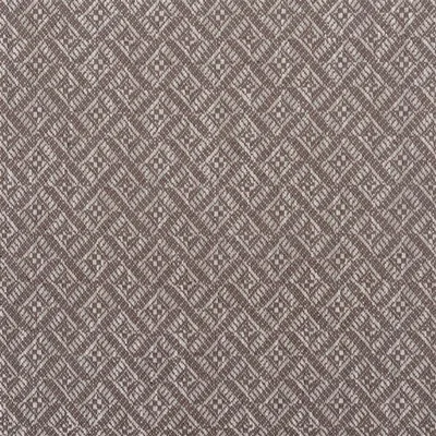 ISLA DRIFTWOOD swatch