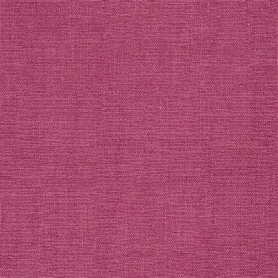 ALARO - CASSIS thumbnail 2