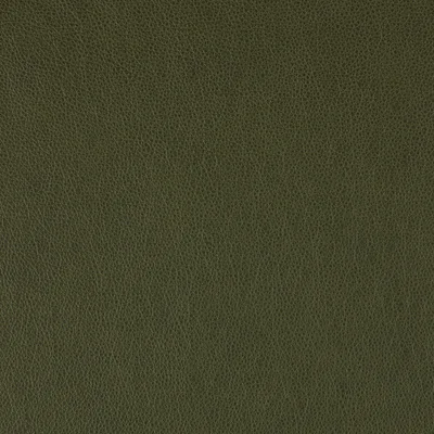 Altara Boreal Forrest swatch