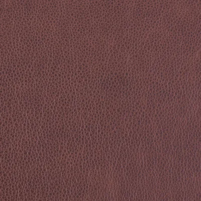 Altara Chocolate swatch