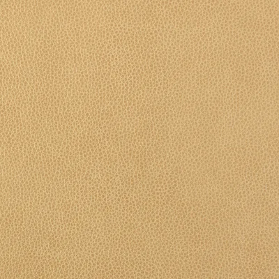 Altara Desert swatch