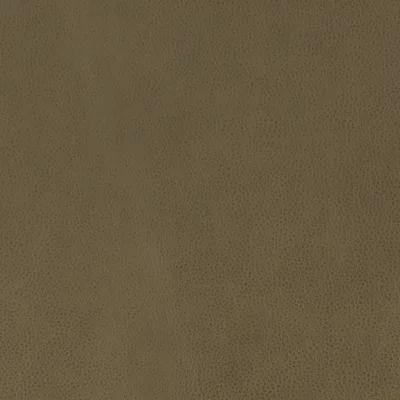 Altara Mushroom — Altara swatch, view 1