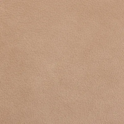 Austen Alabaster swatch