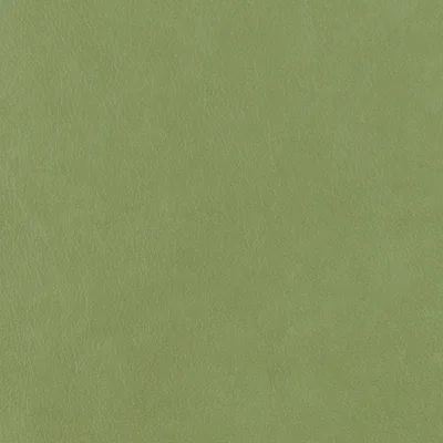 Austen Aloe swatch