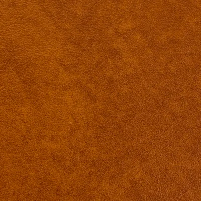 Austen Bourbon swatch