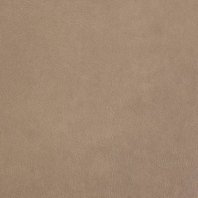 Austen Fawn swatch