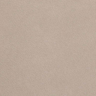 Austen Frost swatch