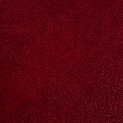 Austen Malbec — Austen swatch, view 1