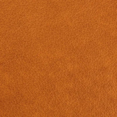 Austen Ochre — Austen swatch, view 1