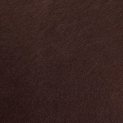 Austen Sable — Austen swatch, view 1