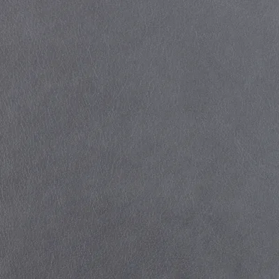 Austen Shark Skin — Austen swatch, view 1