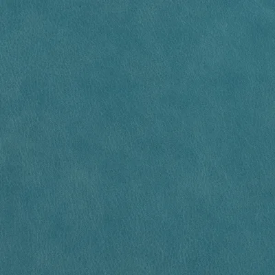 Blake Blue swatch