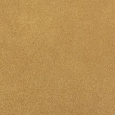Blake Butterscotch swatch