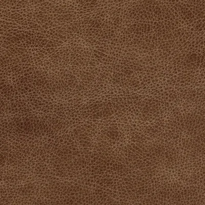 Bronx High Plain swatch