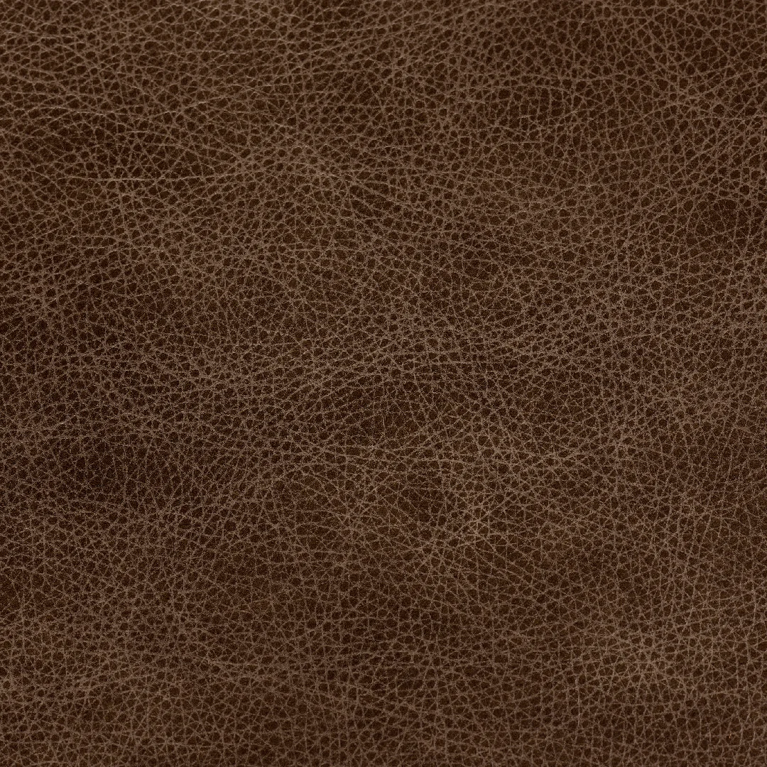 Bronx High Plains swatch