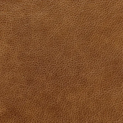 Bronx Us Molasses — Bronx swatch, view 1