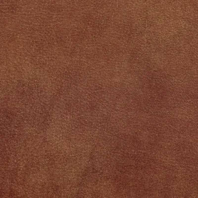 Brunel Fox swatch