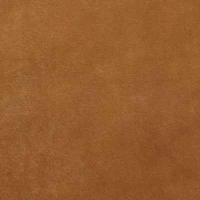 Brunel Light Tan swatch