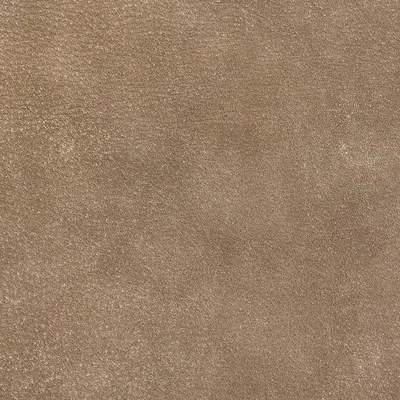Brunel Oyster swatch