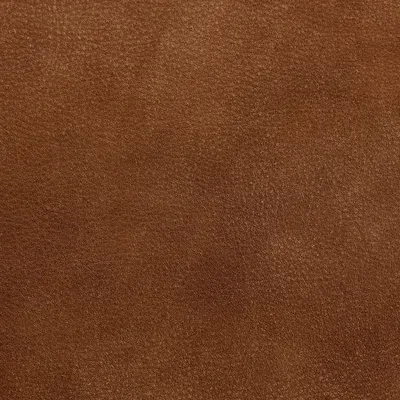 Brunel Walnut — Brunel swatch, view 1