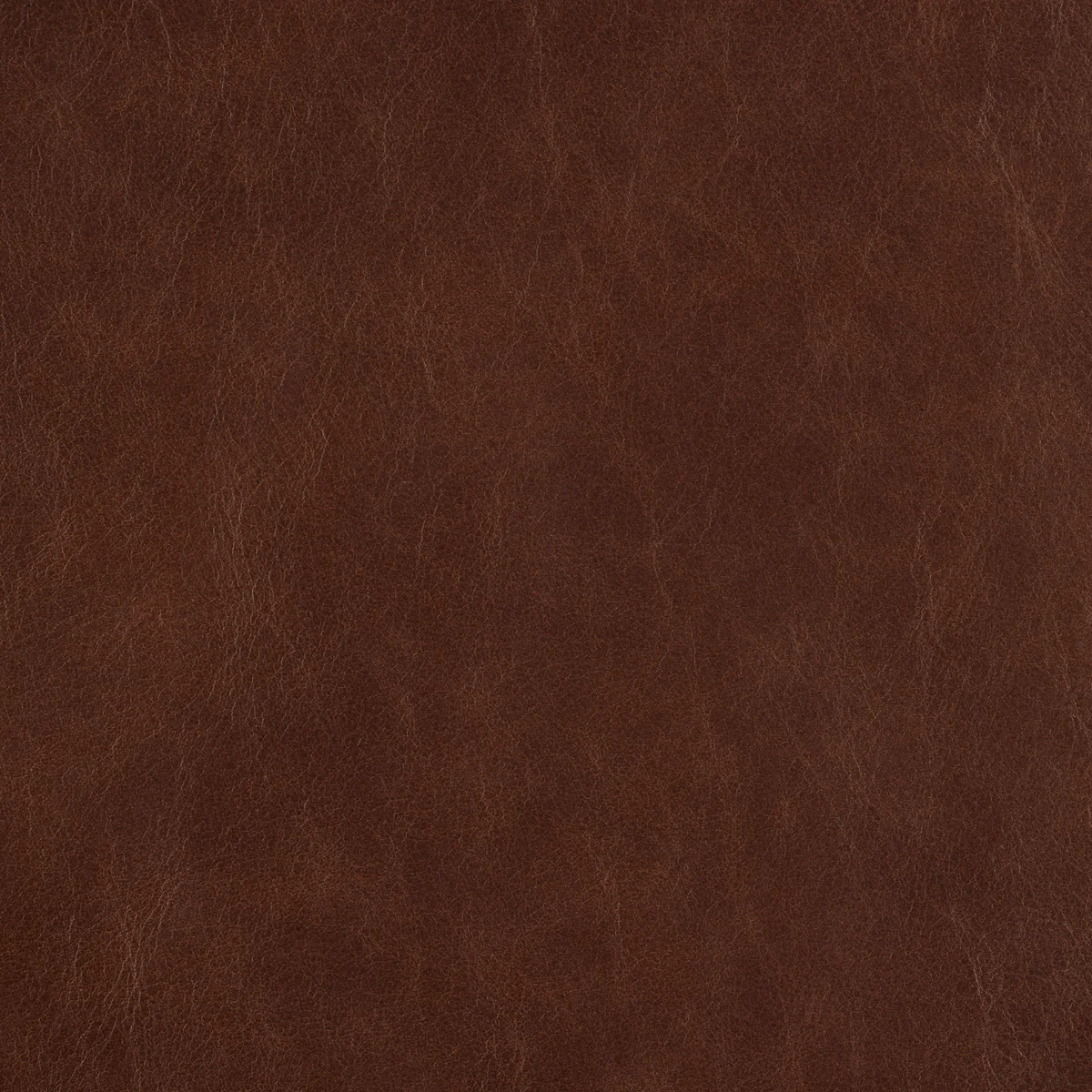 Bruno Hickory swatch