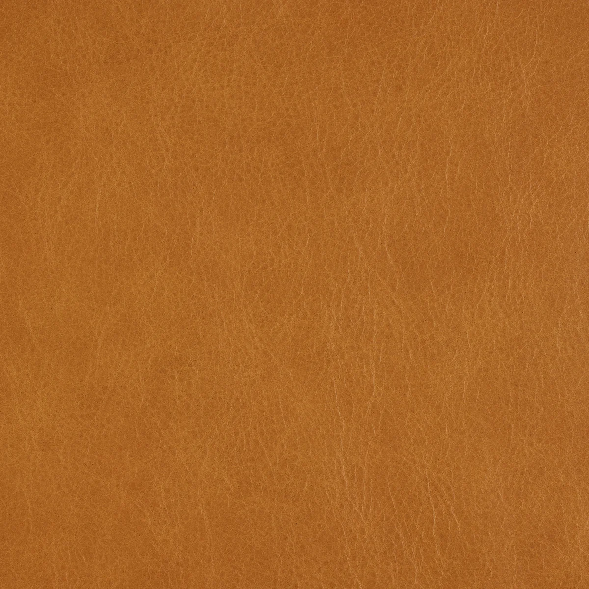 Bruno Tan swatch