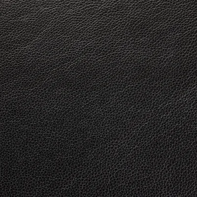 Cambridge Anthracite swatch
