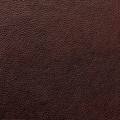 Cambridge Chocolate swatch